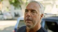 Titus Welliver as Harry Bosch in Ballard | Image via Prime Video